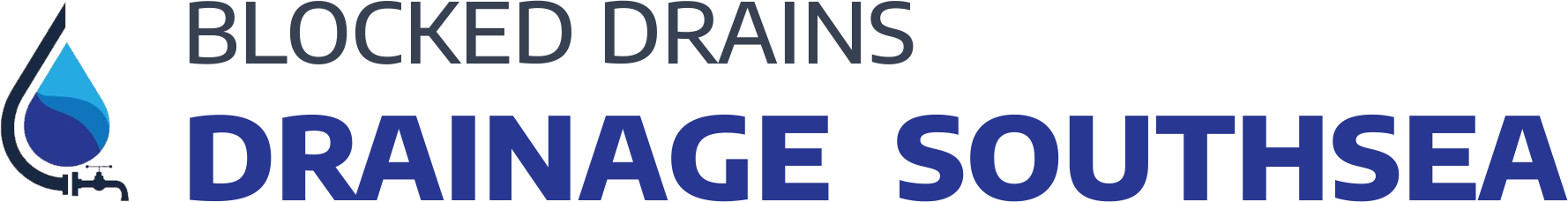 website logo
